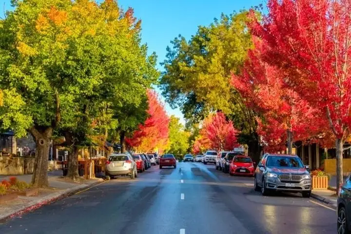 Full Day Adelaide Hills Highlights Tour