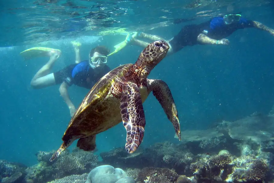 9 Day Perth To Broome Adventure