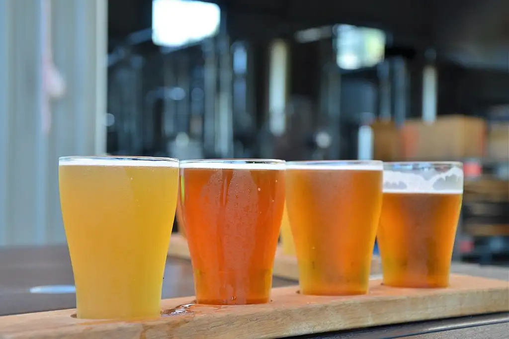 Cairns Walking Brewery Tour