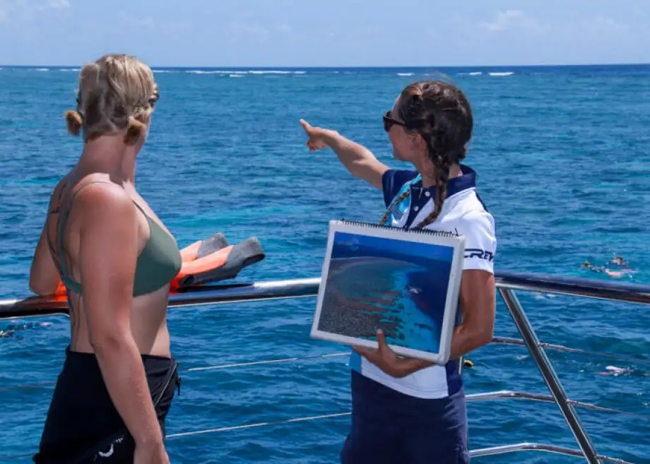 Silversonic Great Barrier Reef Snorkel Adventures from Port Douglas