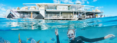 CWS-REEFWORLD-woman-snorkelling-with-fish-pontoon-in-background_1920.jpeg