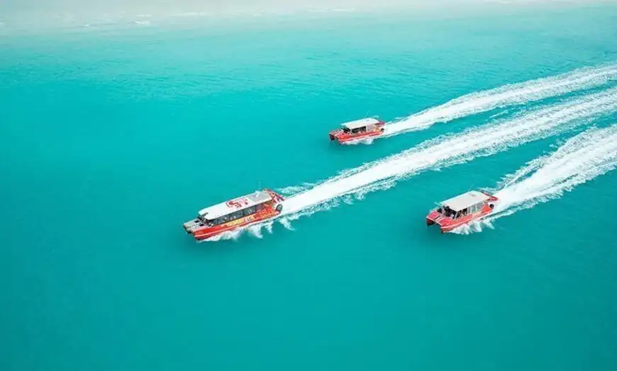 Thundercat Day Tour & 1 Hour Great Barrier Reef Scenic Flight | Fly to Paradise Combo