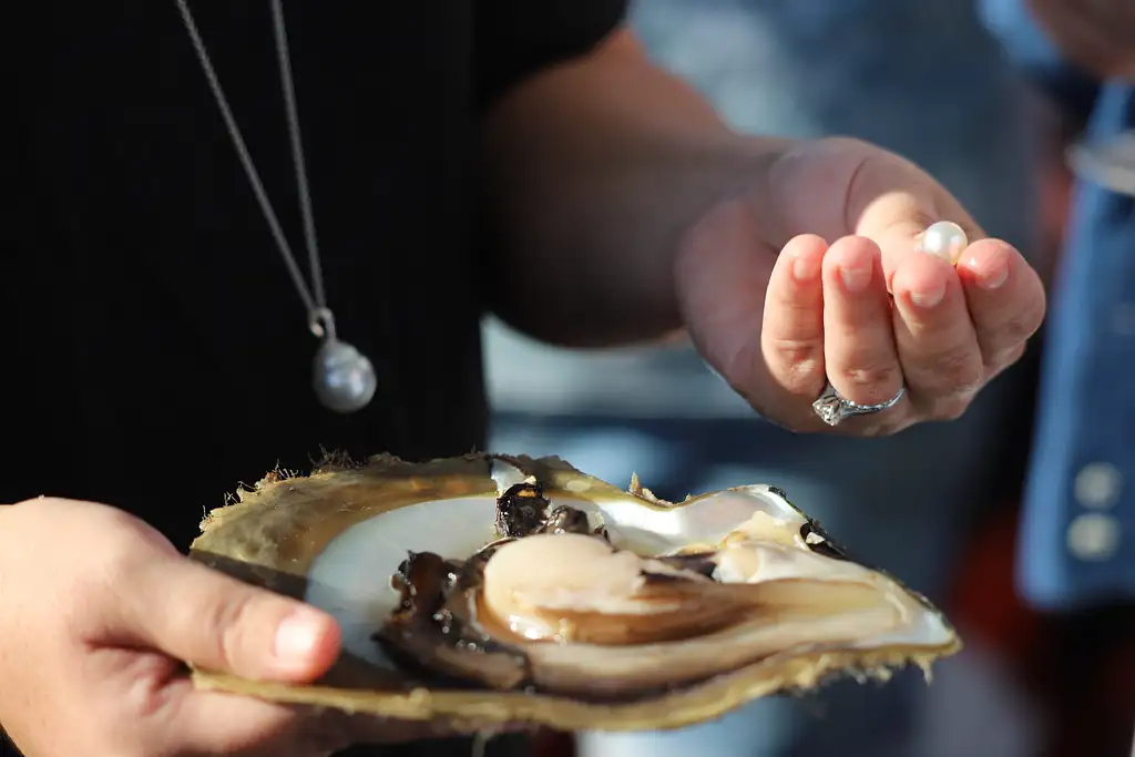 Broome Sunset, Seafood & Pearling Cruise