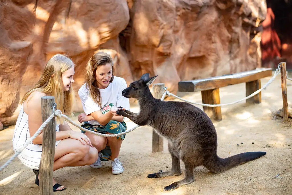Go City Sydney Explorer Attraction Pass