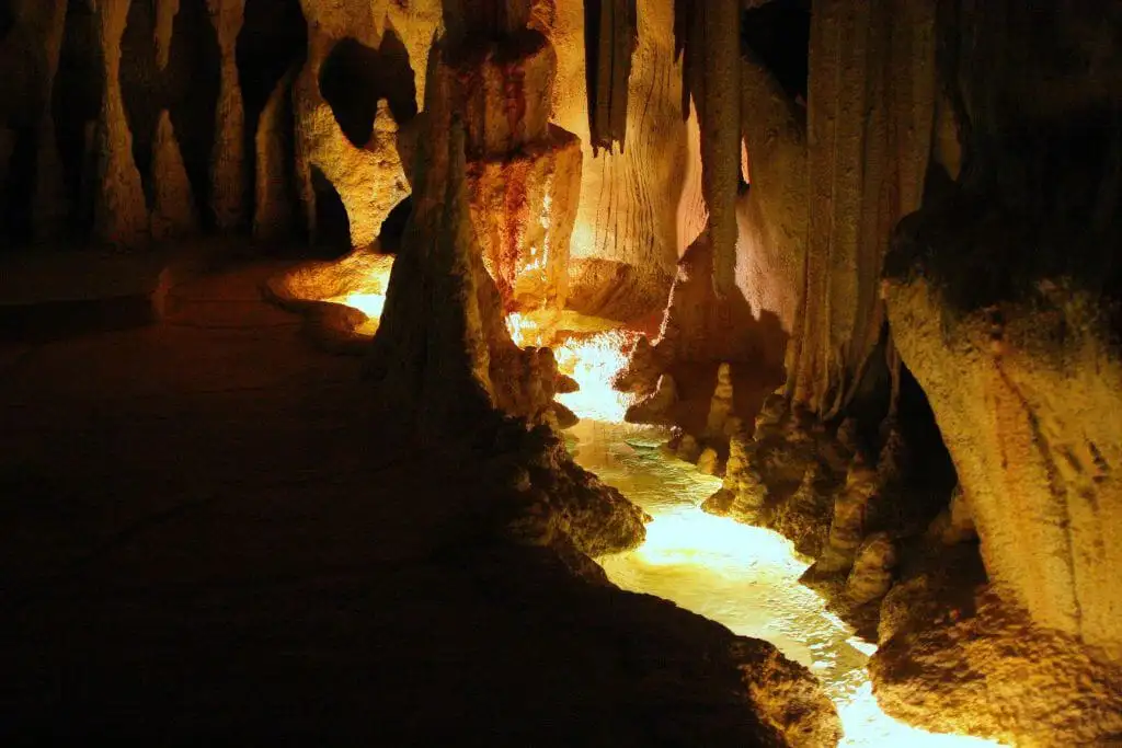 Glow Worm Tour & Mt Tambourine Hop on Hop off | Brisbane or Gold Coast