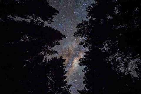 NZ Glowworm tours