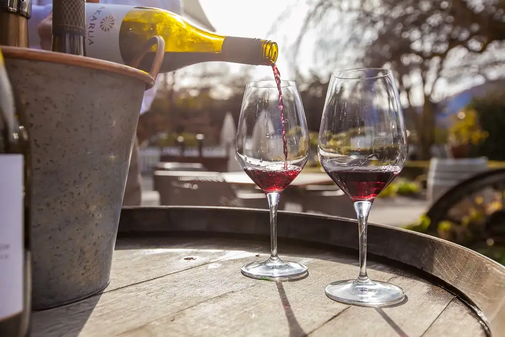 Queenstown Wine Sampler | Over 18 tastings included