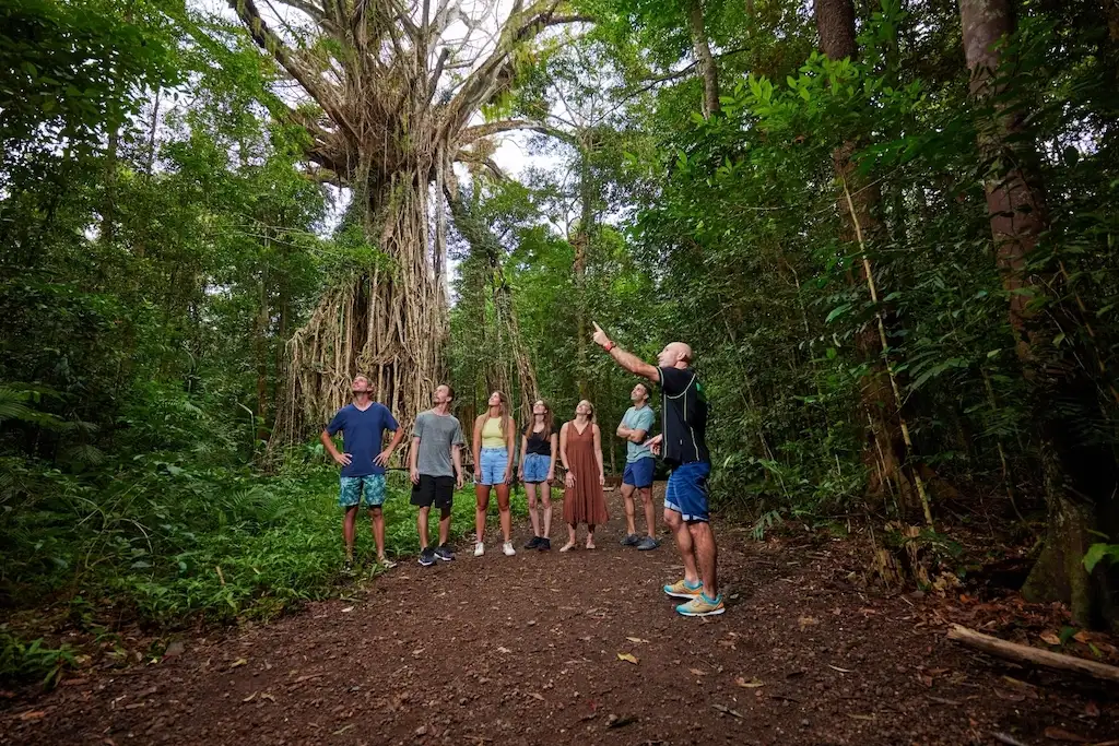 Atherton Tablelands Day Tour | Cairns