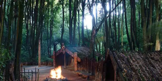 Click Frenzy Deal - Tamaki Maori Village Cultural Experience
