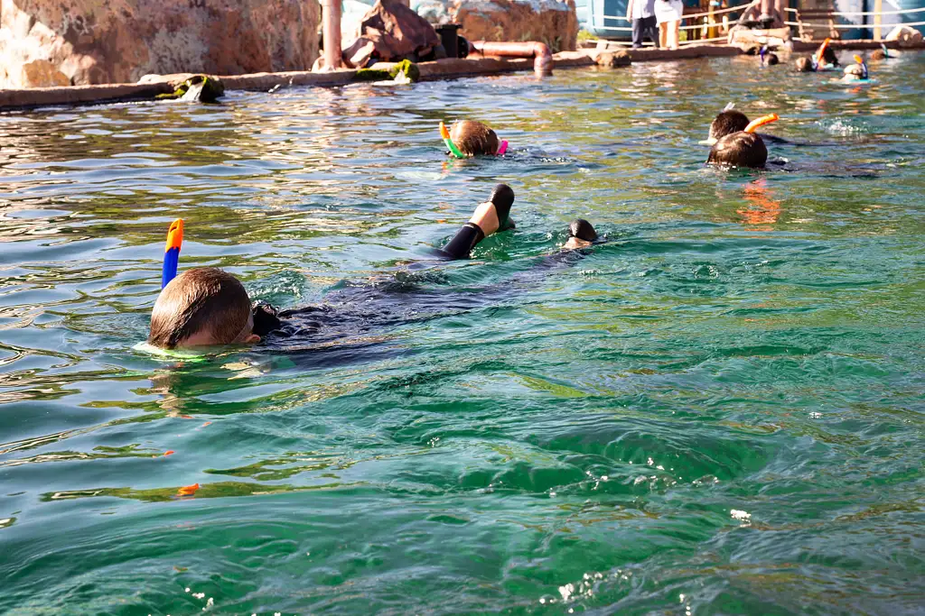 Irukandji Entry Pass with Sting-ray snorkel included