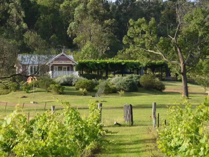 1D Hunter Valley Tour