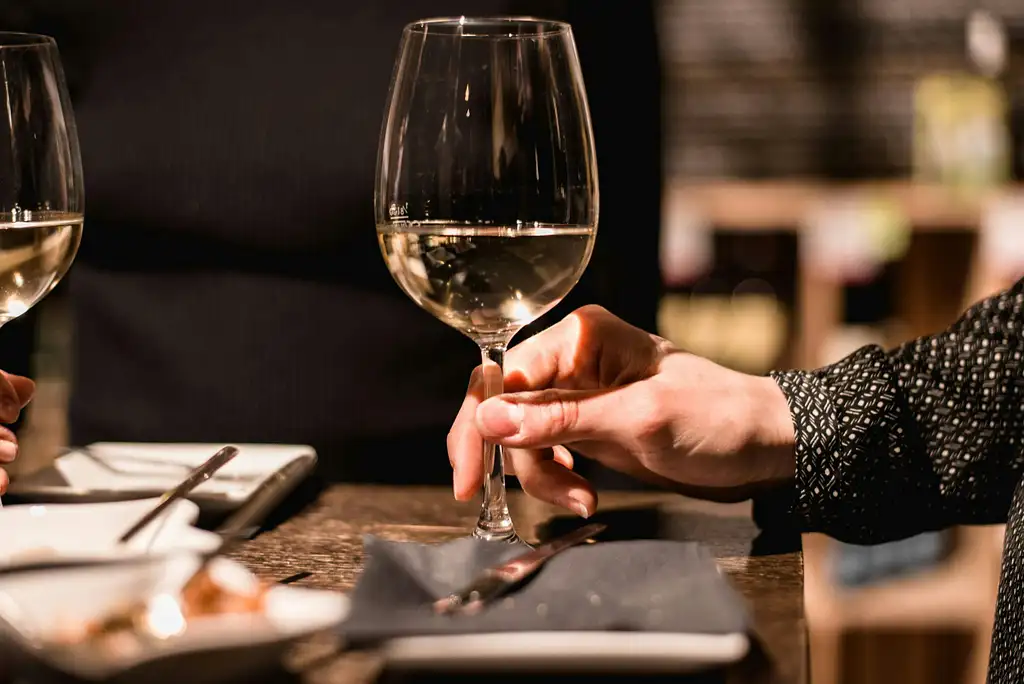 Viennese wine tasting in a roman wine-cellar