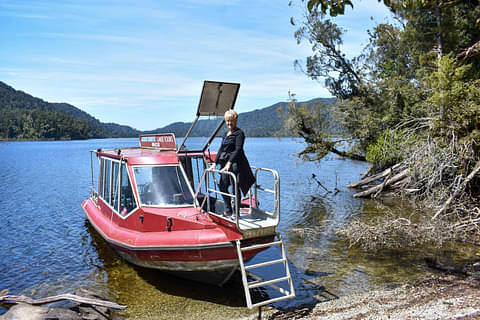 Franz Josef Lake Cruise & Rainforest Walk Deals