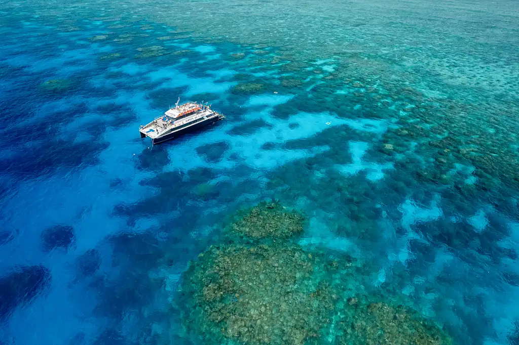 Cairns Dreamtime Dive And Snorkel