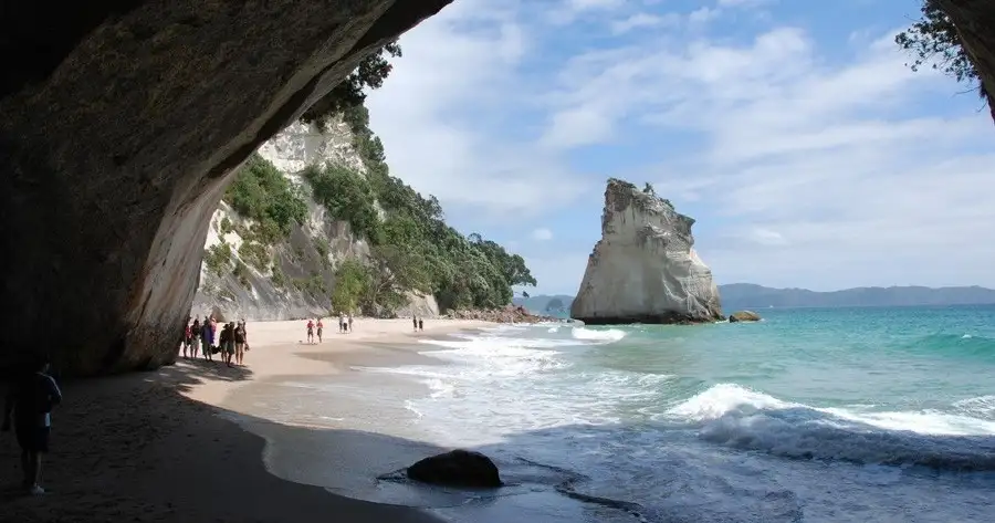 Coromandel Peninsula & Surrounds Day Tour | Auckland