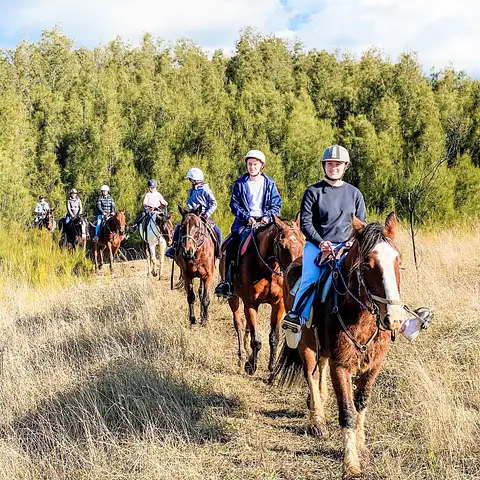 Hunter Valley Bushland Trail Horse Ride Deal