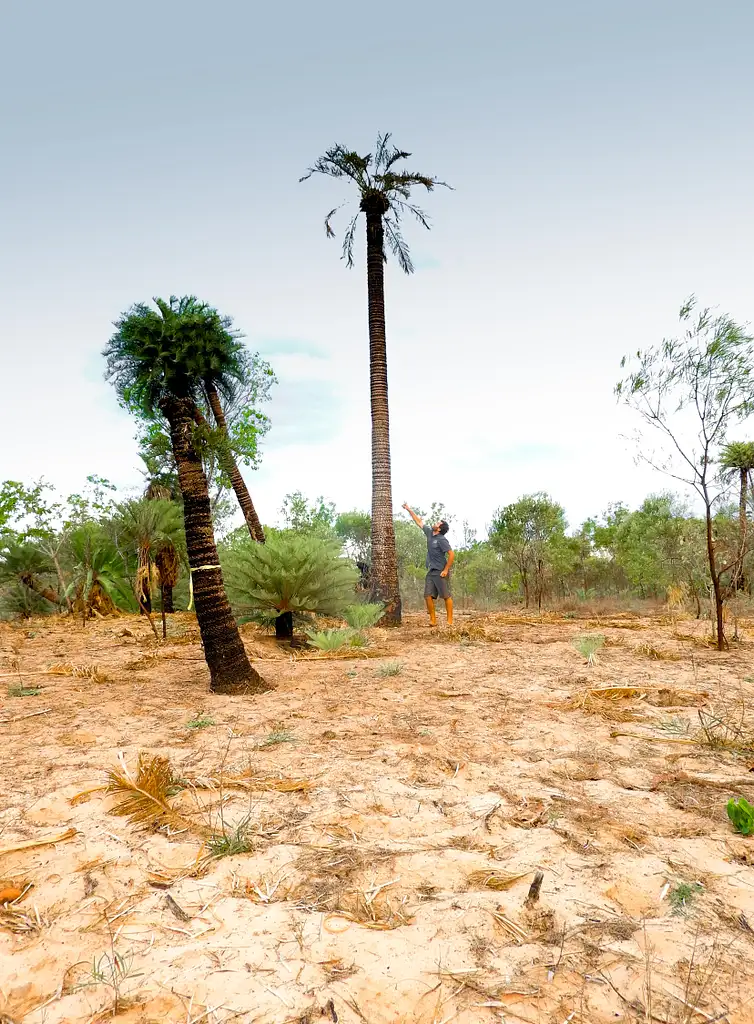 11 Day Cairns to Darwin - Small Group Camping Tour