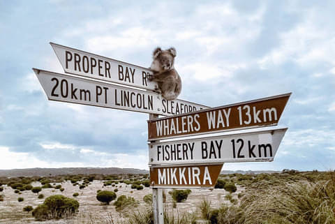 Best Tours of Port Lincoln