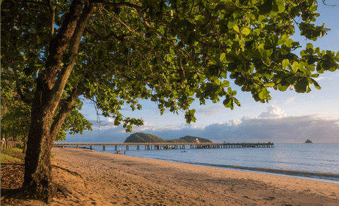Cairns City Tour with dinner cruise