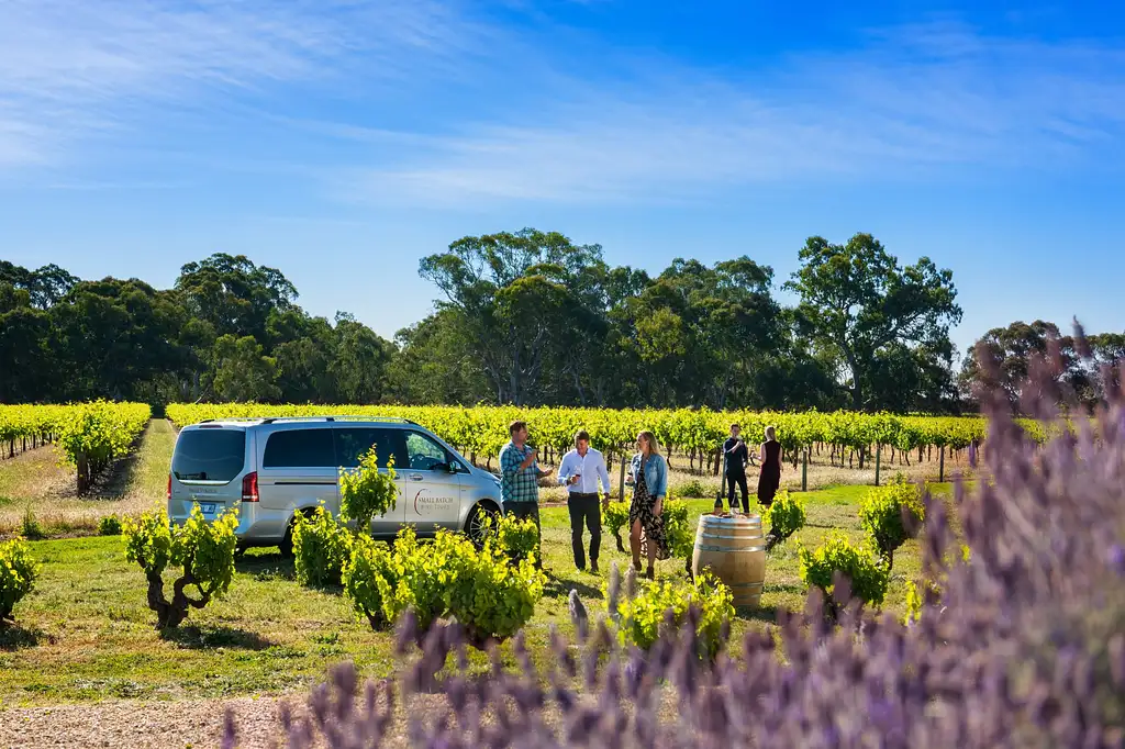 Uncork Barossa Small Group Wine Tour