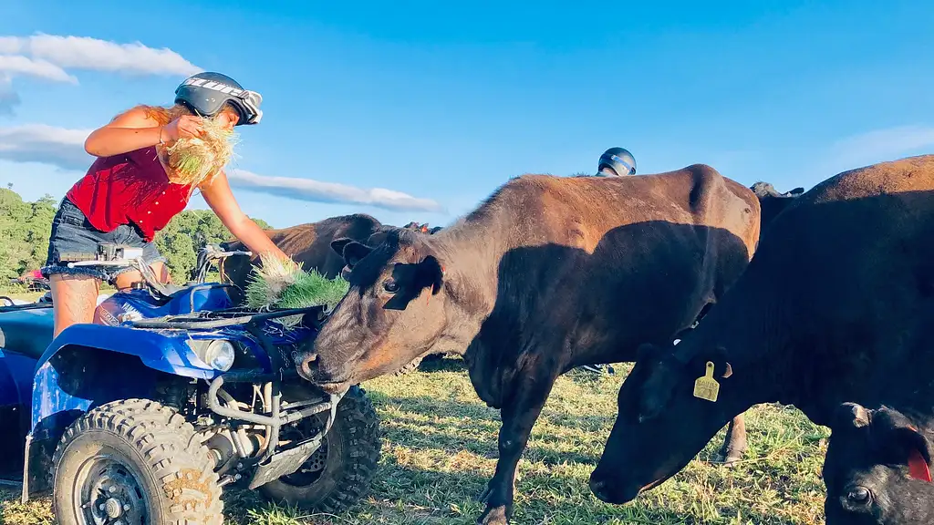 ATV Rainforest Tour with Petting Zoo Kuranda (60 minutes)