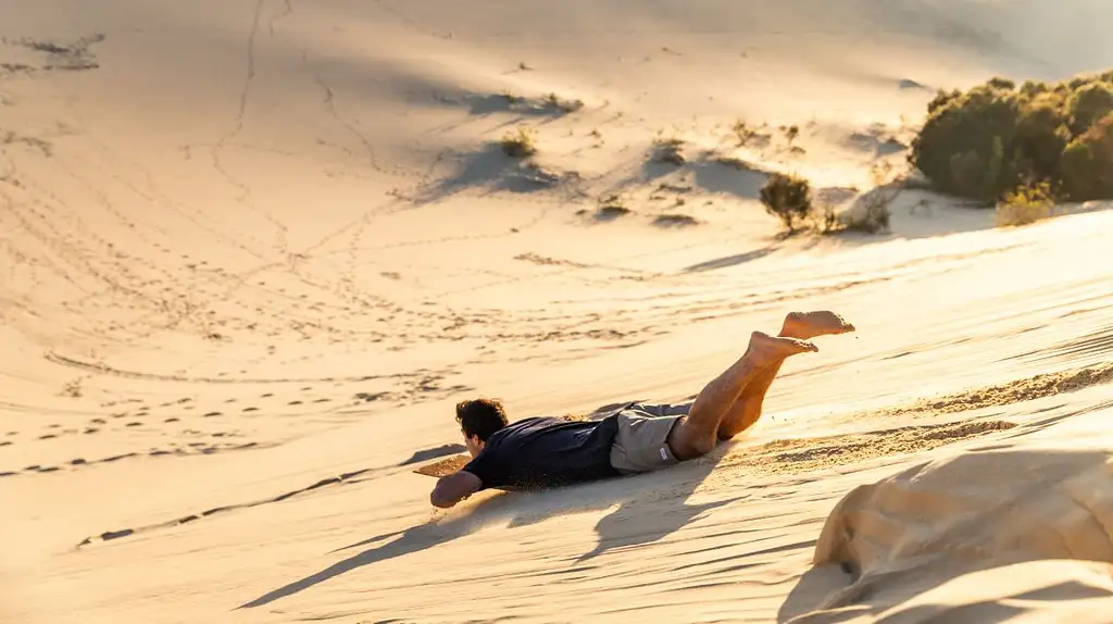 Desert Safari Day Cruise with option to upgrade to Dolphin Feeding | Moreton Island