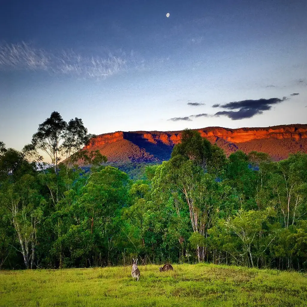 Wollemi 4WD & Glow Worm Tunnel Adventure Tour