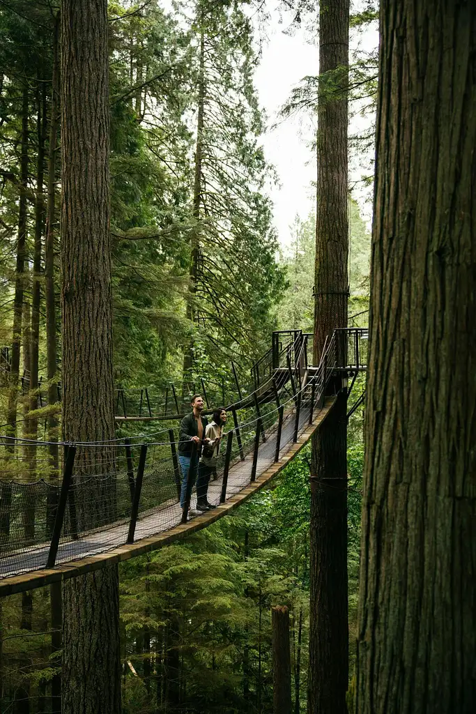 Capilano Suspension Bridge Park | General Admission