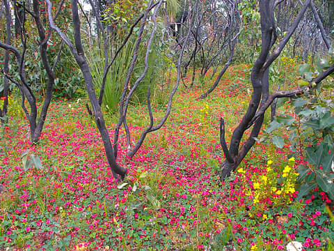 margaret river wine tours