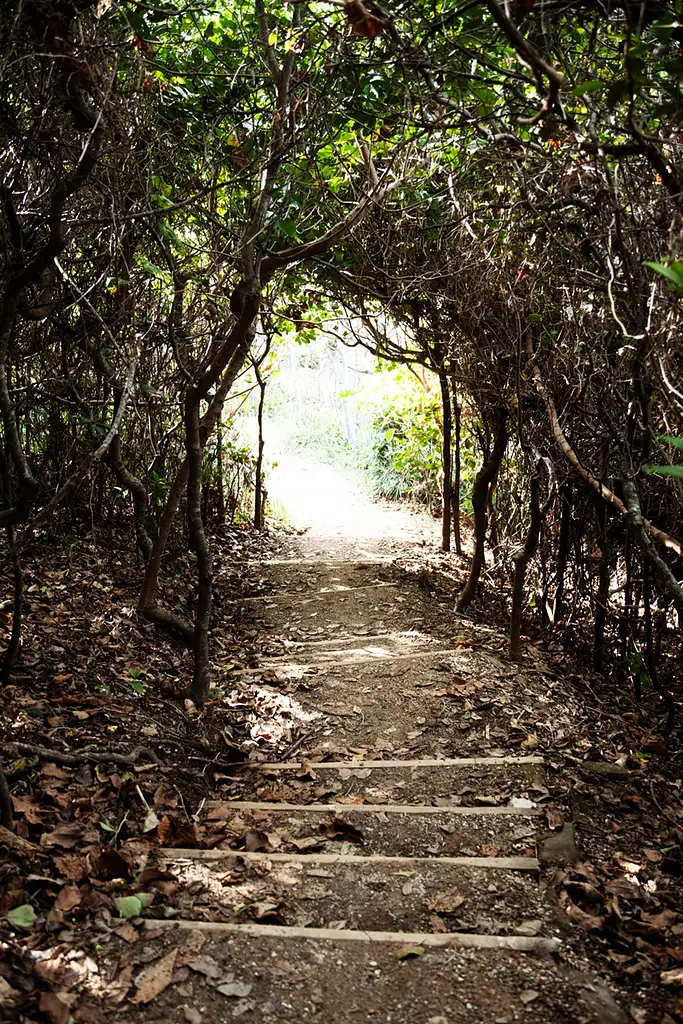 Broken Head Aboriginal Tour | Byron Bay
