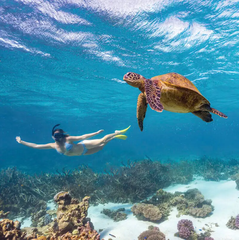 7 Day Perth to Exmouth Explorer & Ningaloo Reef