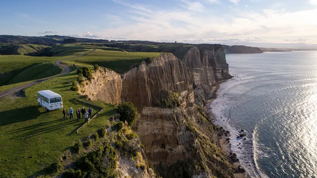 Hawke's Bay Gannet Tour