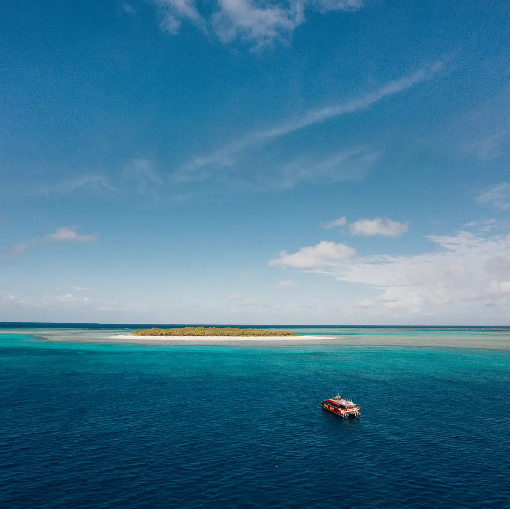 Wild Cat Mackay All-inclusive Snorkel & Islands Day Tour