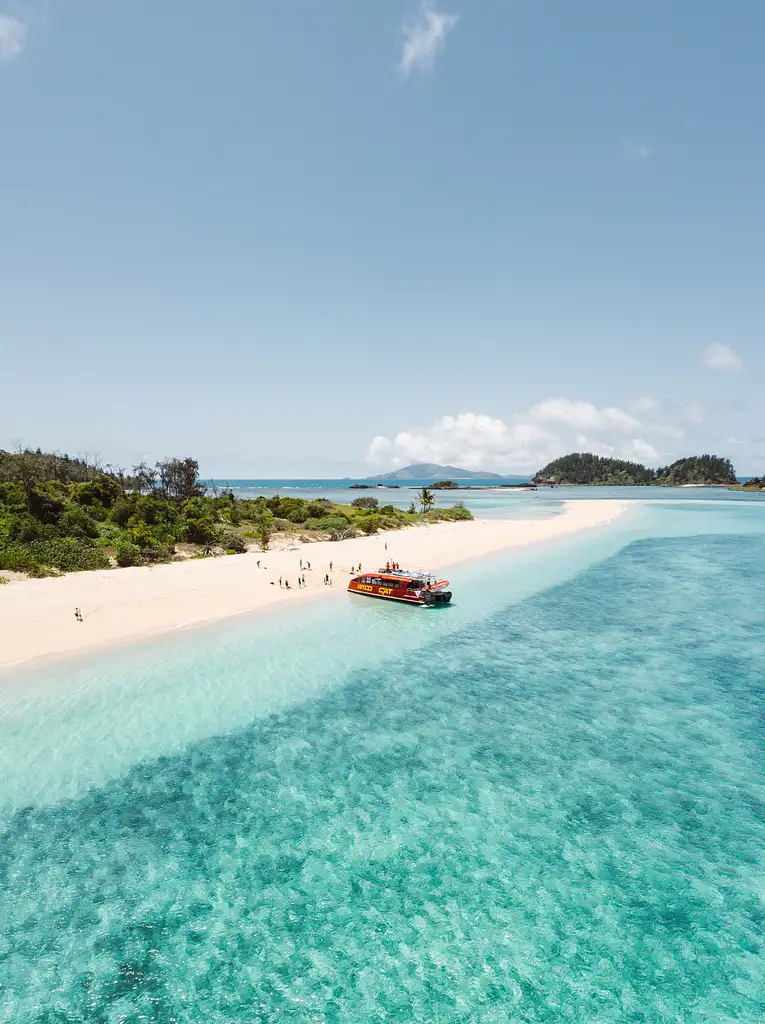 Wild Cat Mackay All-inclusive Snorkel & Islands Day Tour