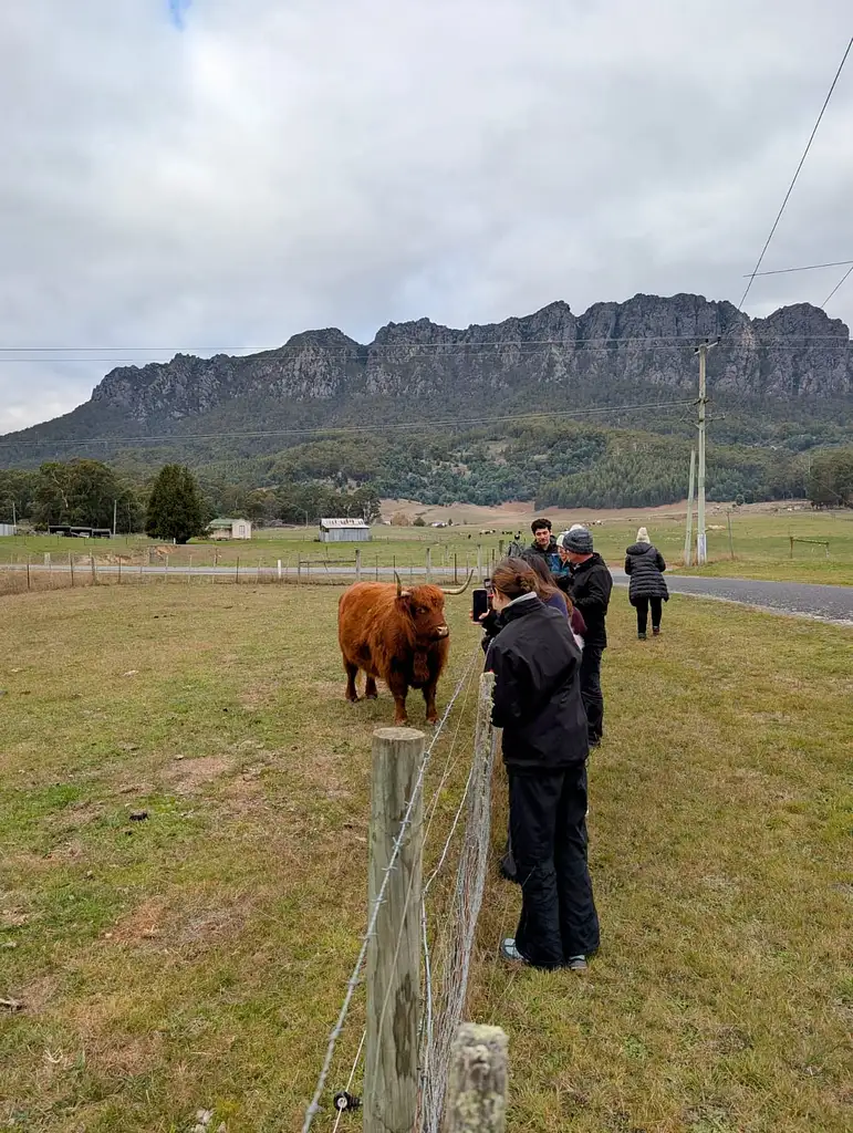 Hobart to Cradle Mountain Active Day Trip