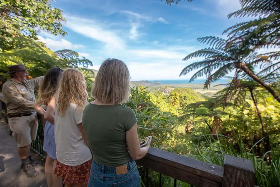 1 Day Daintree and Cape Tribulation Tour