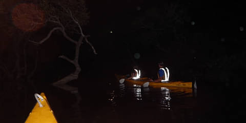 Best Bateman's Bay Tours and Activities