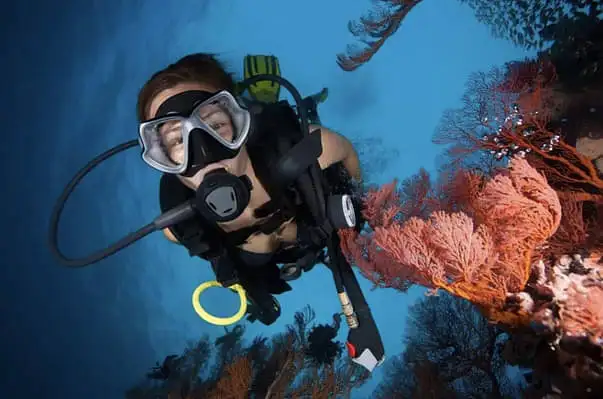 Great Barrier Reef diving