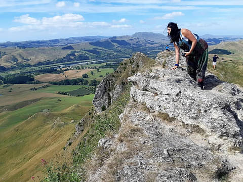 A Grand Day Out in Hawkes Bay