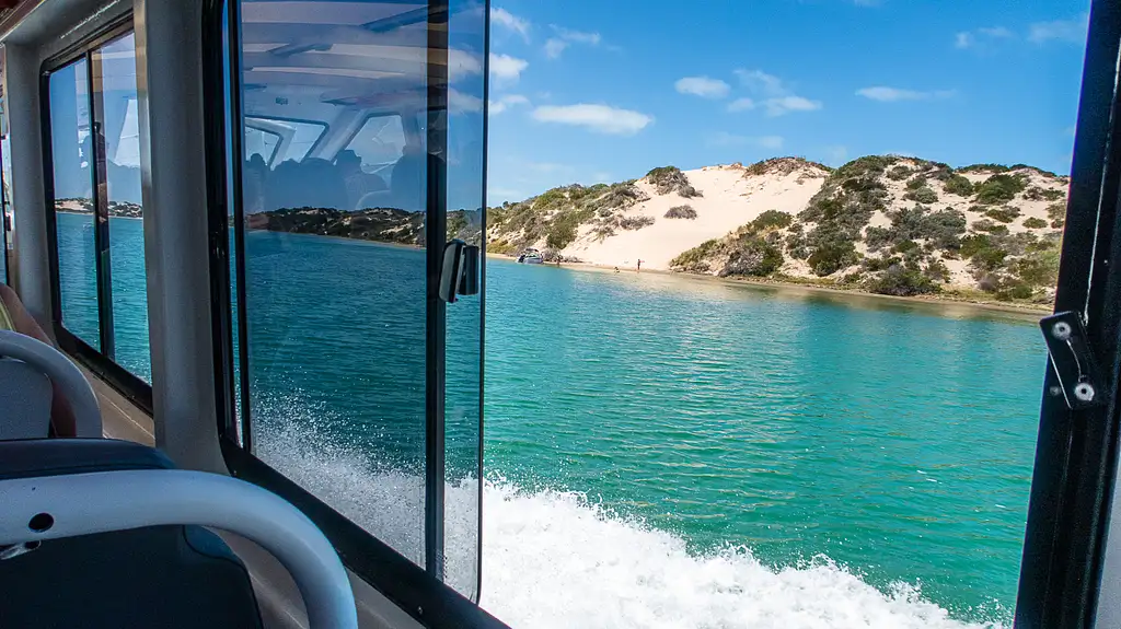 Murray Mouth River Cruise & Tour