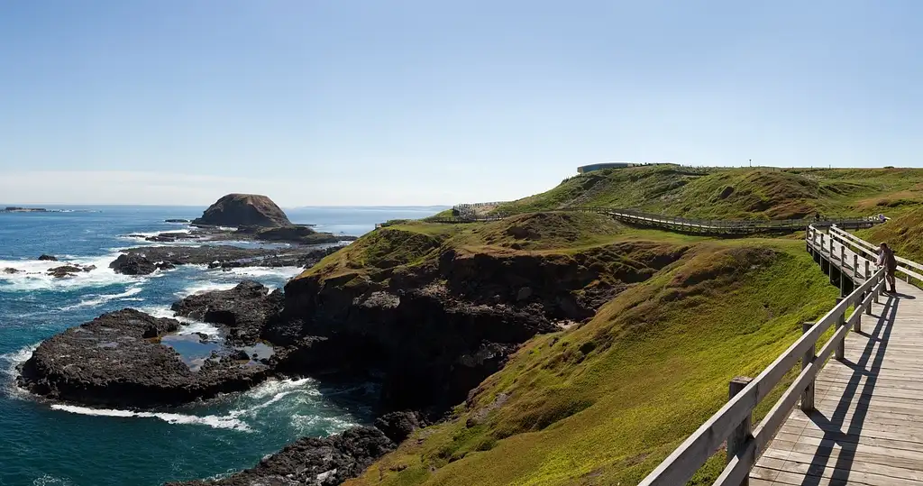 Half Day Phillip Island Tour | From Melbourne