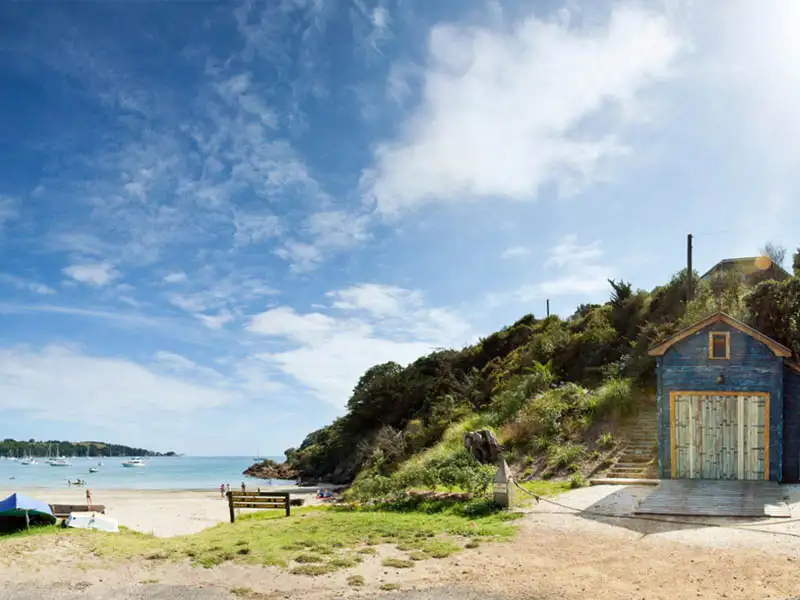 Waiheke Wine & Fishing Tour
