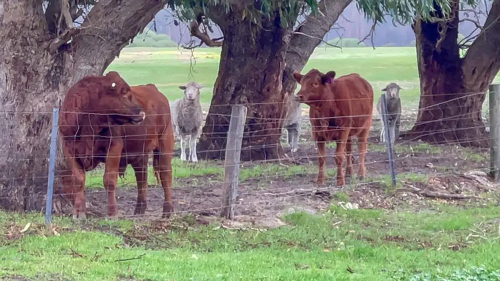 Half Day Oake Marsh Farm Tour