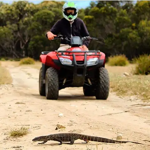 Kangaroo Island Quad Bike Adventure South Australia