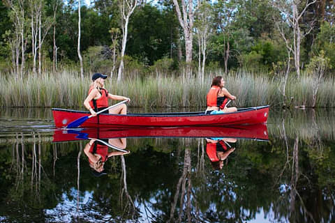 canoeing noosa everglades