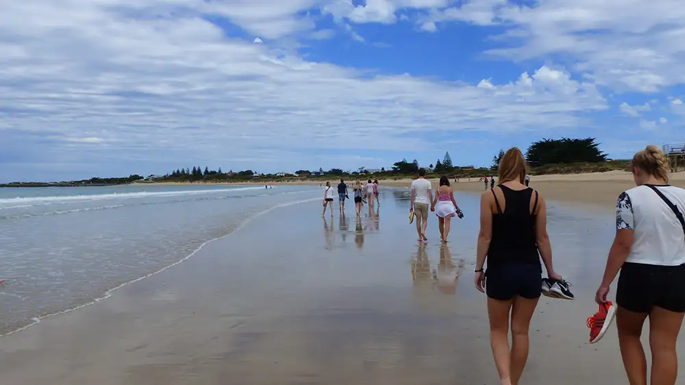 Great Ocean Road & Grampians 3 Days 2 Nights from Adelaide to Melbourne