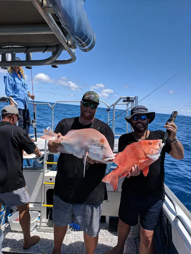 Airlie Beach Fishing - Half Day or Full Day Tour