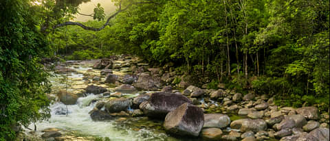 Cairns