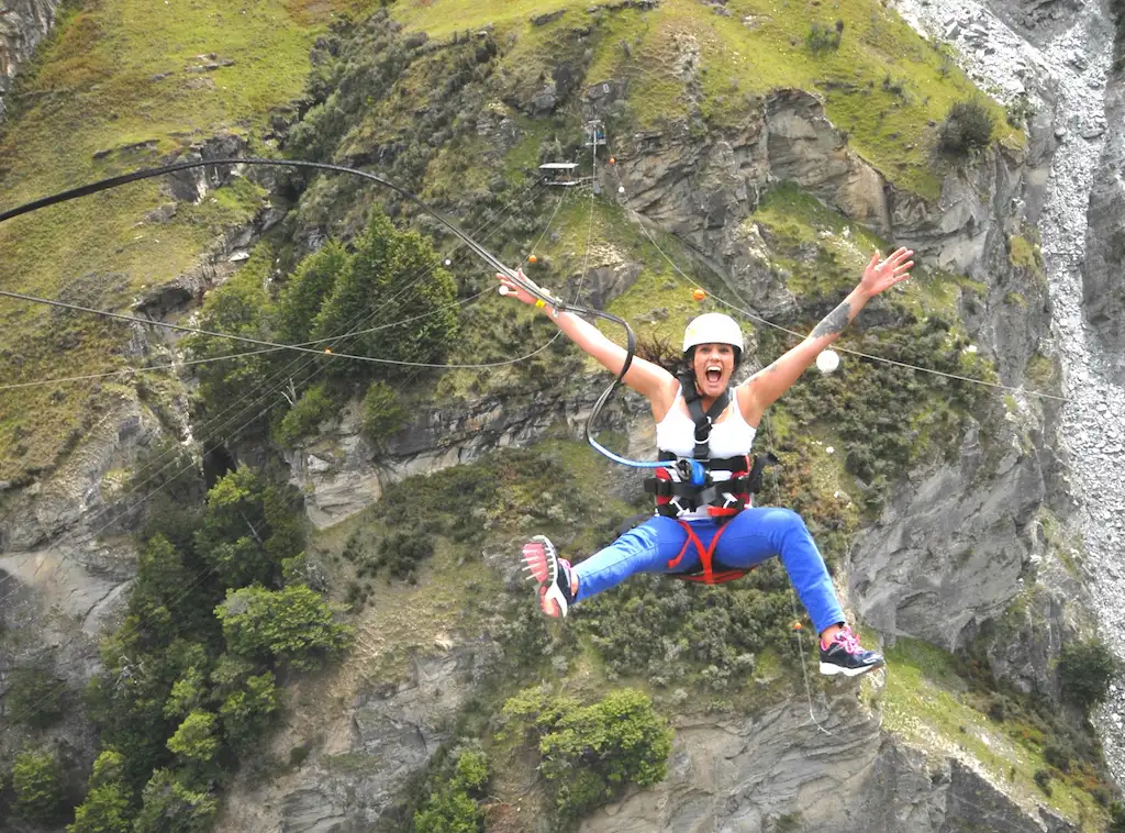 Shotover Canyon Fox