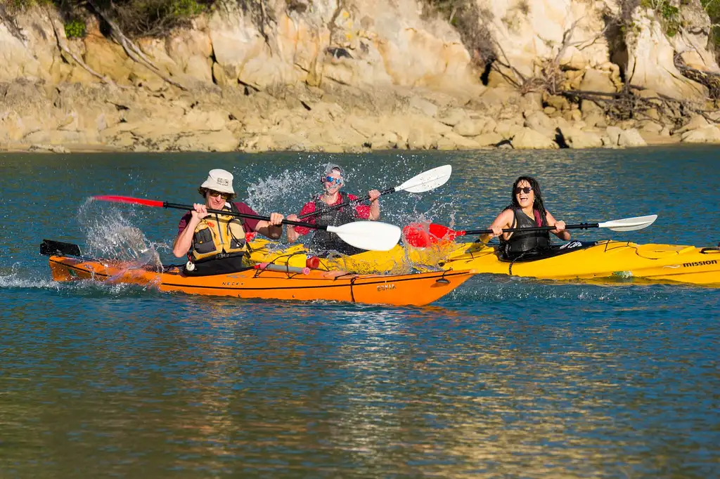 Southern Blend Kayak and Walk